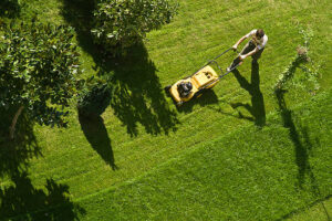 Gartenarbeiten