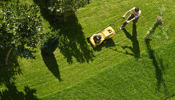 Gartenarbeiten im Herbst Gartenarbeiten