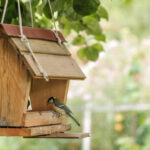 Vogelhäuschen im privaten Garten