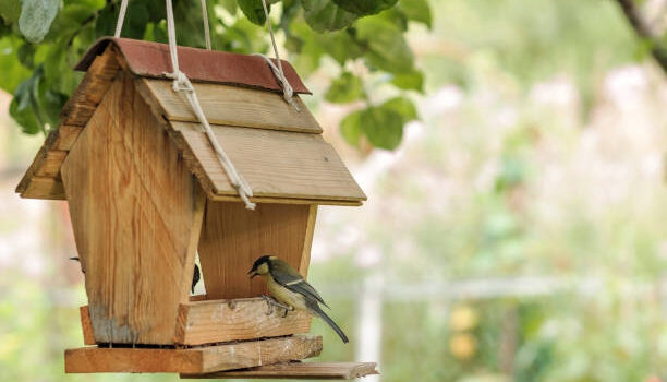 Vogelhäuschen im privaten Garten